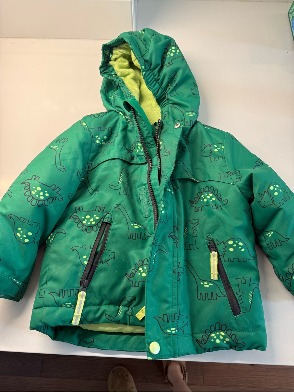 2T Green Dinosaur-Print Kids Jacket